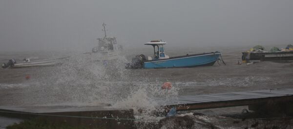 Uragan Marija na ostrvu Gvadalupe - Sputnik Srbija