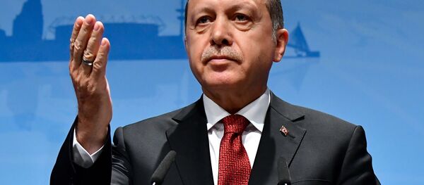 Председник Турске Реџеп Тајип Ердоган Председник Турске Реџеп Тајип Ердоган - Sputnik Србија