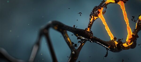 DNK - Sputnik Srbija