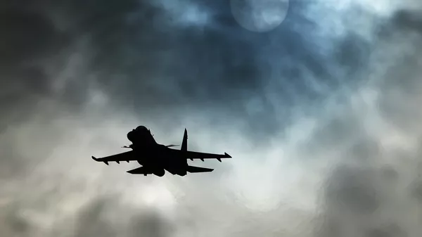 Višenamenski lovac Su-30SM  - Sputnik Srbija