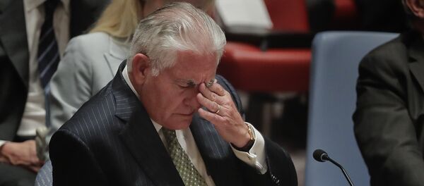 Američki državni sekretar Reks Tilerson na zasedanju Saveta bezbednosti UN u Njujorku - Sputnik Srbija