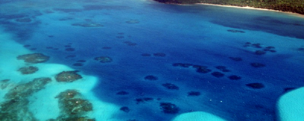 Malo karipsko ostrvo Providensija Malo karipsko ostrvo Providensija - Sputnik Srbija