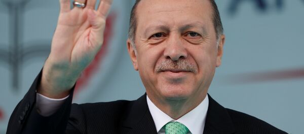 Реџеп Тајип Ердоган - Sputnik Србија