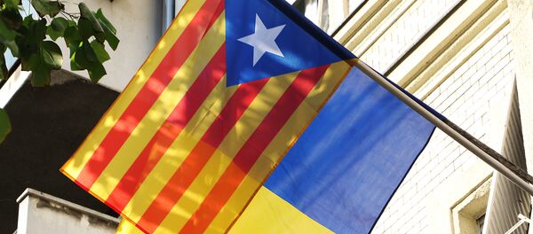 Застава сепаратистичке Каталоније на згради ЛСВ у Новом Саду - Sputnik Србија