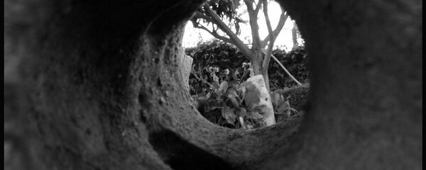 Rupa Rupa - Sputnik Srbija