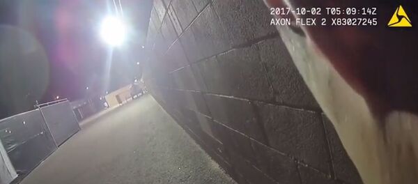 Полиција Лас Вегас Полиција Лас Вегас - Sputnik Србија