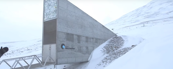 Tajni sef - Sputnik Srbija