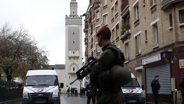 Француски војник и полицијске патроле испред Велике џамије у Паризу. - Sputnik Србија