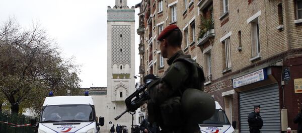 Француски војник и полицијске патроле испред Велике џамије у Паризу. - Sputnik Србија