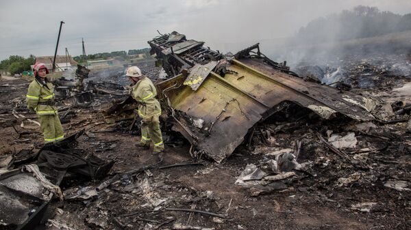 Spasioci rade na mestu pada malezijskog aviona Boing 777 na letu MH17 u Donjecku - Sputnik Srbija