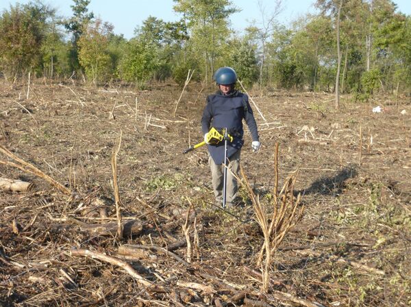 Деминери шест дана у недељи, раде тежак посао... - Sputnik Србија