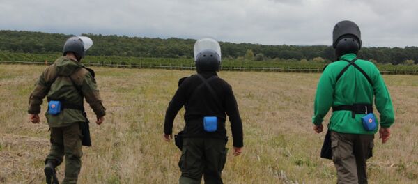 Руски и српски деминери чисте од бомби необрађено земљиште, шуму, али и винограде и друге пољопривредне површине како би их људи поново обрађивали - Sputnik Србија