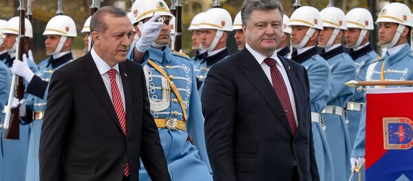 Predsednik Turske Redžep Tajip Erdogan i predsednik Ukrajine Petro Porošenko - Sputnik Srbija