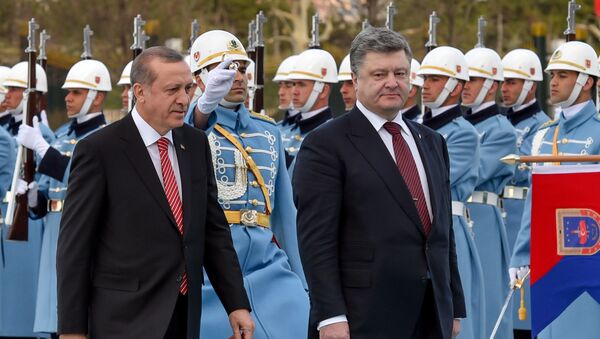 Председник Турске Реџеп Тајип Ердоган и председник Украјине Петро Порошенко - Sputnik Србија