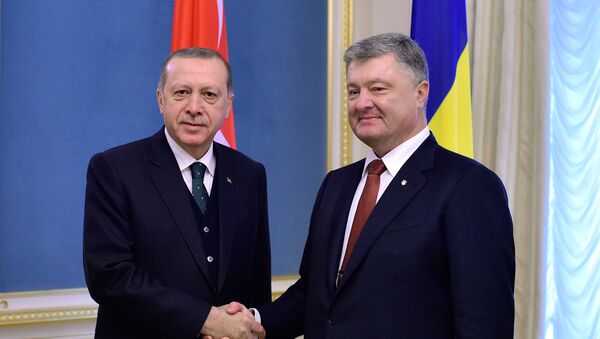 Турски председник Реџеп Тајип Ердоган и председник Украјине Петро Порошенко - Sputnik Србија