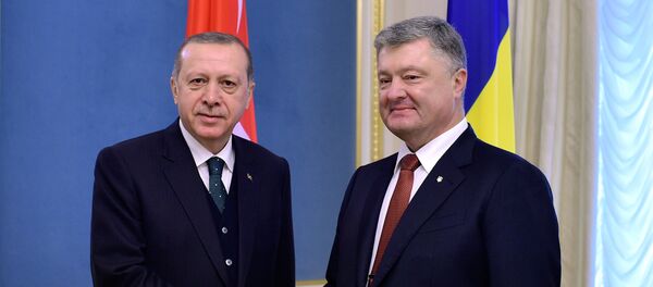 Турски председник Реџеп Тајип Ердоган и председник Украјине Петро Порошенко - Sputnik Србија