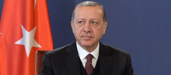 Турски председник Реџеп Тајип Ердоган - Sputnik Србија