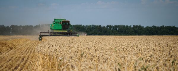 Сетва у Краснојарском крају Сетва у Краснојарском крају - Sputnik Србија