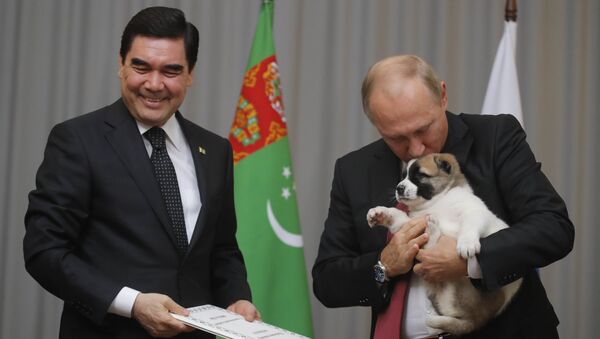 Predsednik Turkmenistana Gurbanguli Berdimuhamedov poklonio je ruskom kolegi Vladimiru Putinu štene - Sputnik Srbija