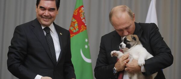 Председник Туркменистана Гурбангули Бердимухамедов поклонио је руском колеги Владимиру Путину штене - Sputnik Србија