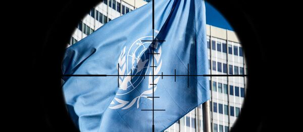 Nišan na UN - ilustracija Nišan na UN - ilustracija - Sputnik Srbija