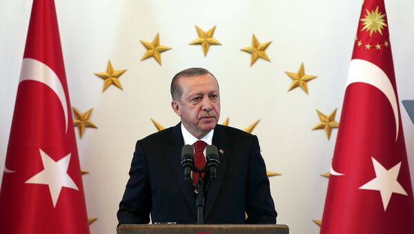 Predsednik Turske Redžep Tajip Erdogan tokom govora u Ankari - Sputnik Srbija
