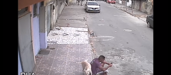 Pas popiškio momka - Sputnik Srbija