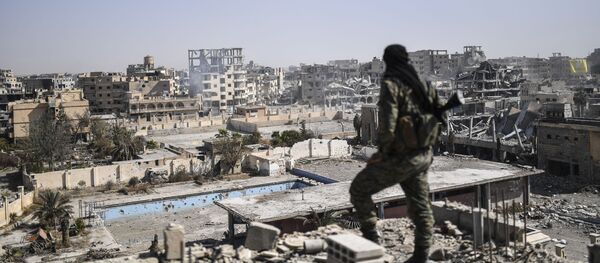 Borac Sirijskih demokratskih snaga u Raki - Sputnik Srbija