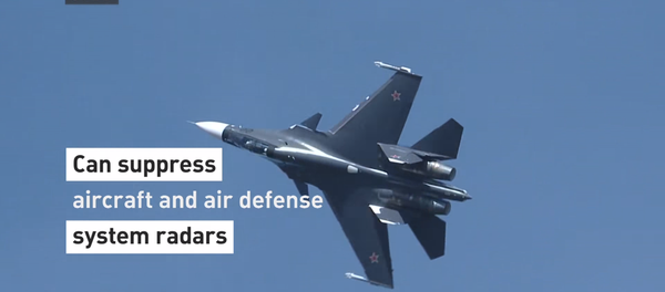 Nebeski zaštitnik: Lovac Su-30SM u 60 sekundi - Sputnik Srbija