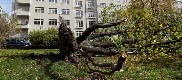 Невреме у Чешкој Невреме у Чешкој - Sputnik Србија