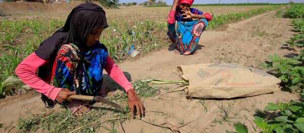 Deca u Jemenu Deca u Jemenu - Sputnik Srbija