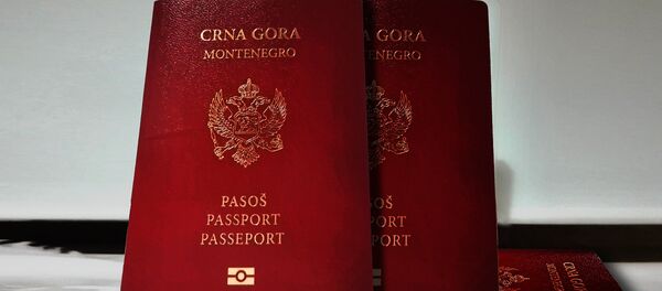 Pasoš Crne Gore  - Sputnik Srbija