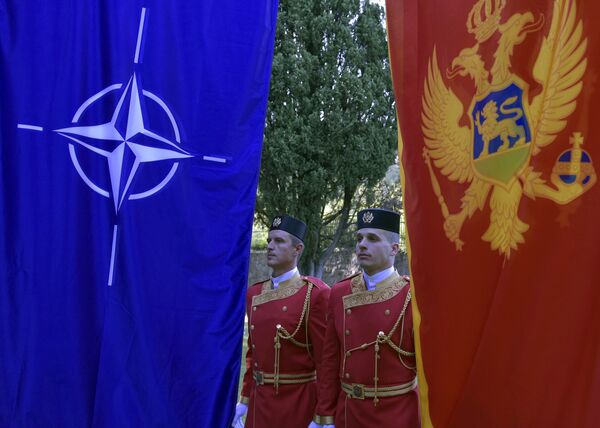 Stranci pozvani u Crnu Goru da nadziru građane - Sputnik Srbija