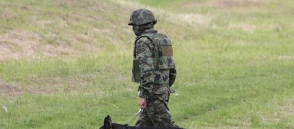 Demineri srpske vojske - Sputnik Srbija