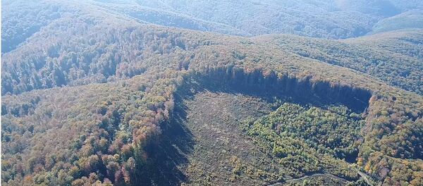 Сеча шума - Sputnik Србија