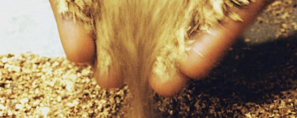 Злато Злато - Sputnik Србија