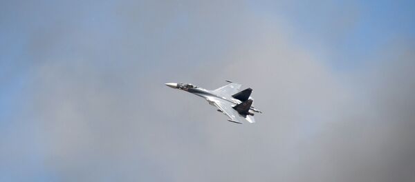 Авион Су-35 на аеро-митингу у Рјазанској области - Sputnik Србија