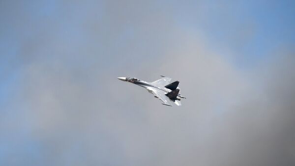 Авион Су-35 на аеро-митингу у Рјазанској области - Sputnik Србија
