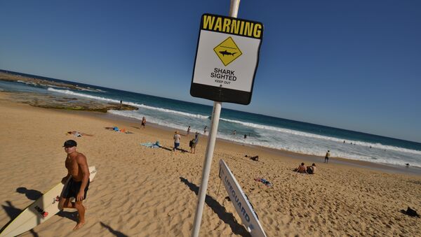 Surfer sa daskom na plaži u Njukaslu, u Novom Južnom Velsu u Australiji na kojoj je zabranjeno kupanje zbog pojave ajkula. - Sputnik Srbija