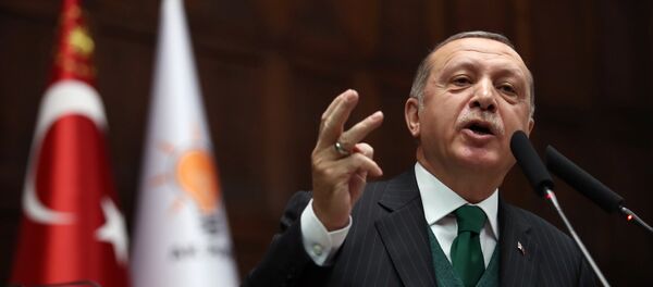 Predsednik Turske Redžep Tajip Erdogan - Sputnik Srbija