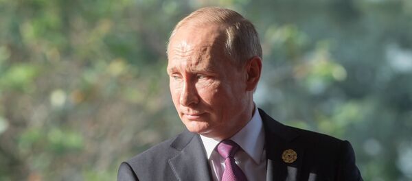 Председник Русије Владимир Путин Председник Русије Владимир Путин - Sputnik Србија