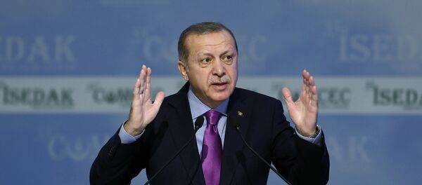 Predsednik Turske Redžep Tajip Erdogan - Sputnik Srbija