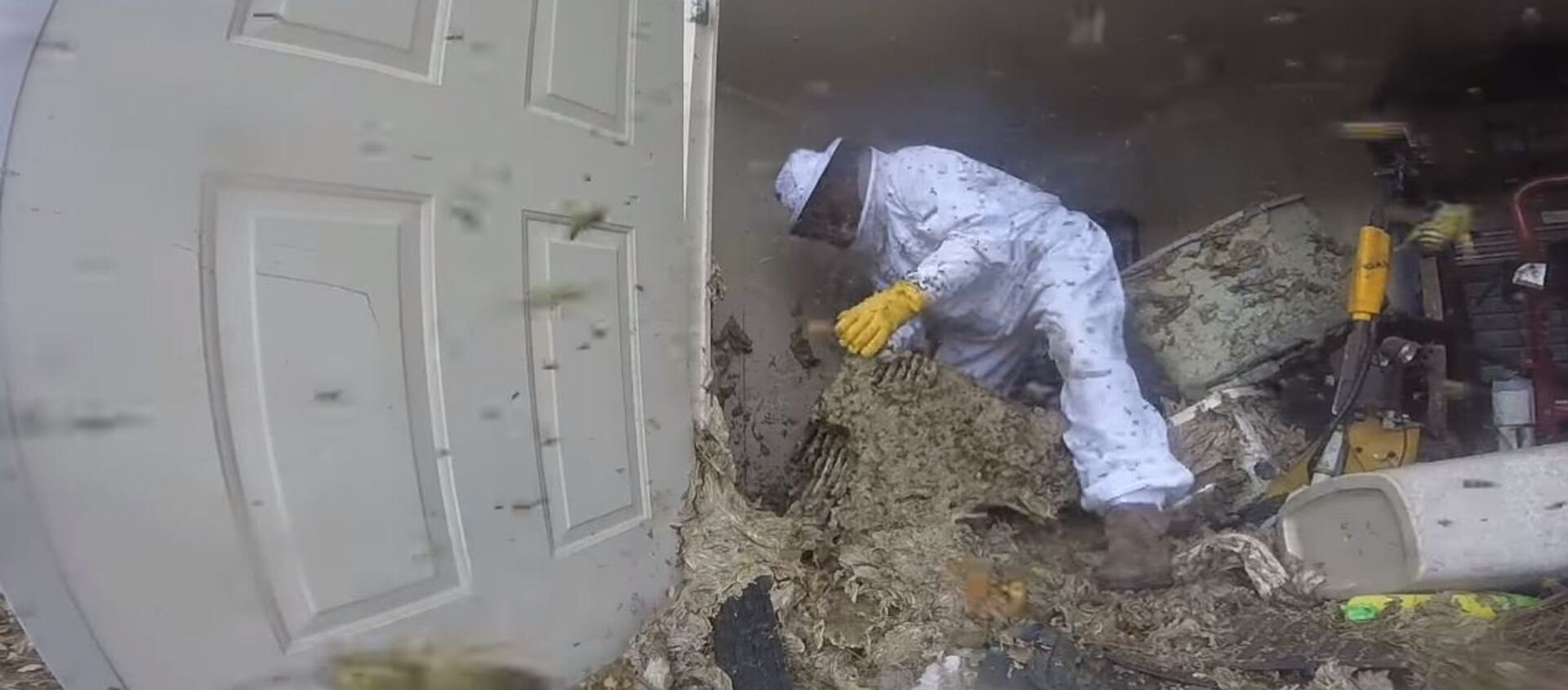 Stršljenovi Stršljenovi - Sputnik Srbija, 1920, 27.11.2017