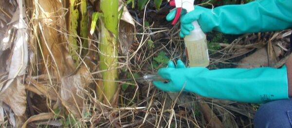 Хербициди - Sputnik Србија