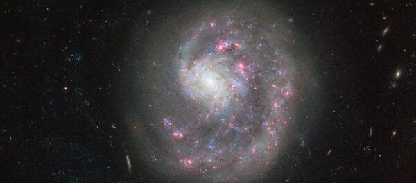 Једнорука патуљаста галаксија NGC 4625, на 30 милиона светлосних година од сазвежђа Ловачки пси (Canes Venatici) Једнорука патуљаста галаксија NGC 4625, на 30 милиона светлосних година од сазвежђа Ловачки пси (Canes Venatici) - Sputnik Србија