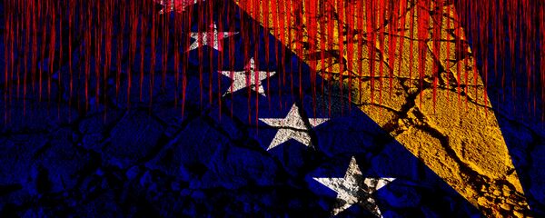 Застава БиХ - илустрација Застава БиХ - илустрација - Sputnik Србија