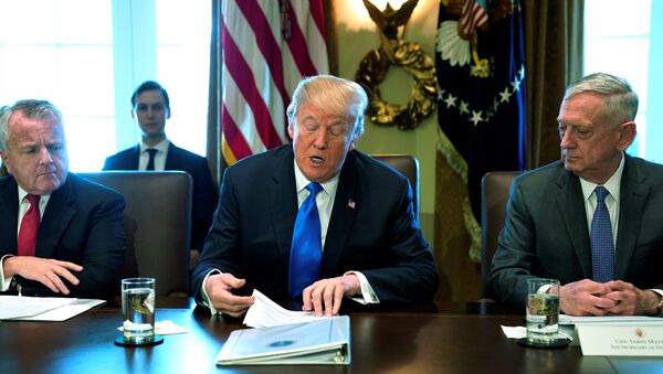 Амерички председник Доналд Трамп на састанку кабинета у Белој кући - Sputnik Србија