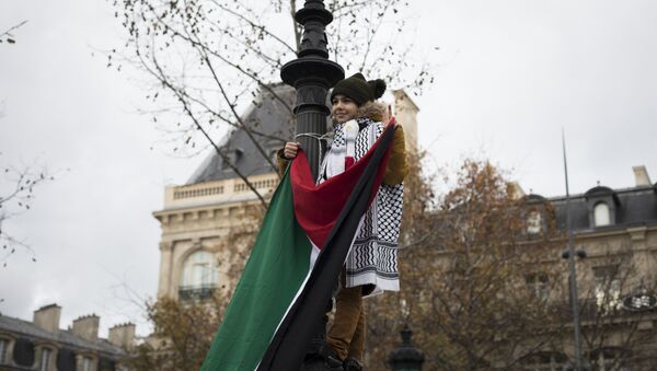 Девојчица носи палестинску заставу на протестима против америчког председника Доналда Трампа у Паризу - Sputnik Србија