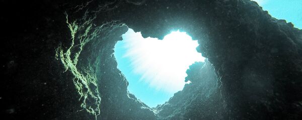 Morsko dno - Sputnik Srbija