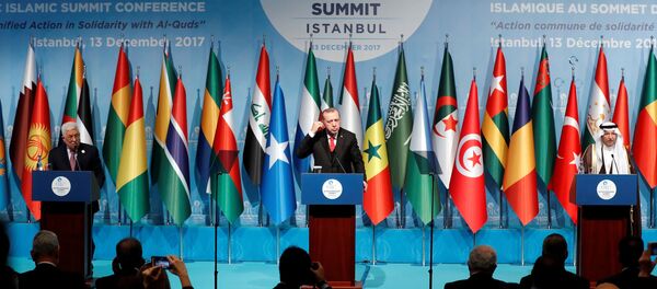 Islamski samit u Istanbulu - Sputnik Srbija